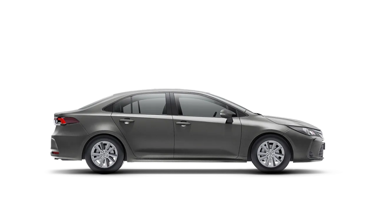 Cement Gray Metallic